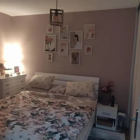 Apartment Sumski Raj-zvezdara